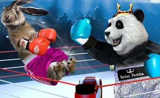 royal panda