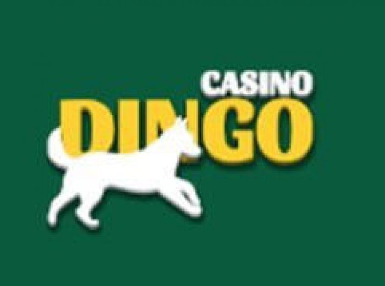CasinoDingo