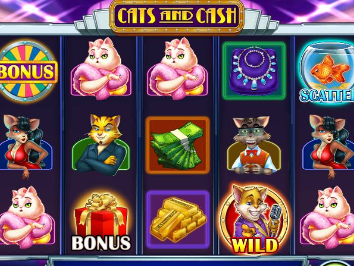 cats and cash iframe