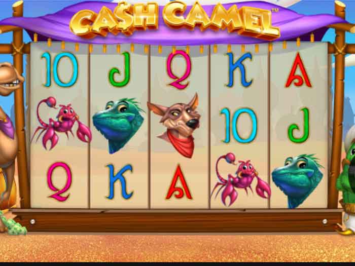 cash camel iframe