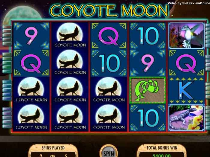 coyote moon iframe