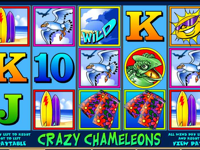 crazy chameleons iframe