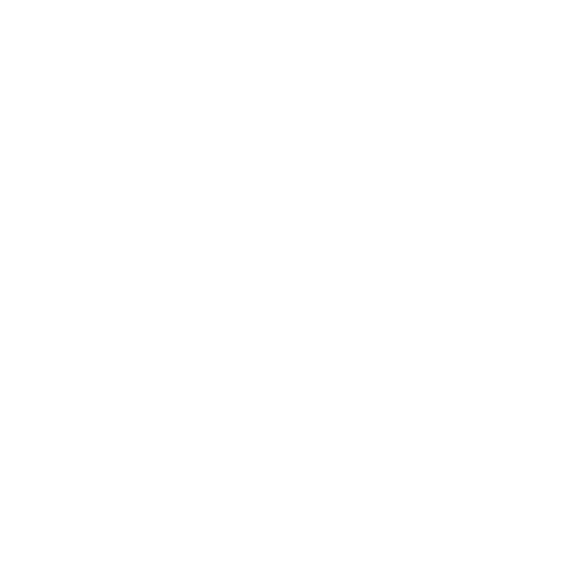 coins-solid-icon